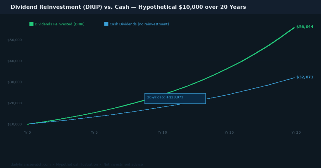 A line chart compares dividend reinvestment growth versus cash income over 20 years showing the compounding advantage for long-term income investors