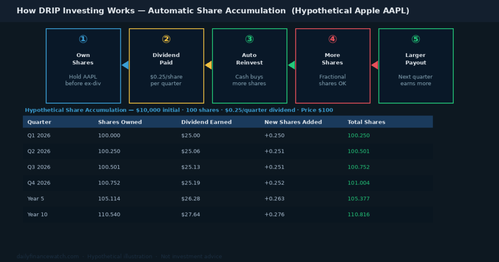 A DRIP investing step diagram shows five stages from owning shares to earning larger payouts, with a hypothetical Apple share accumulation table below