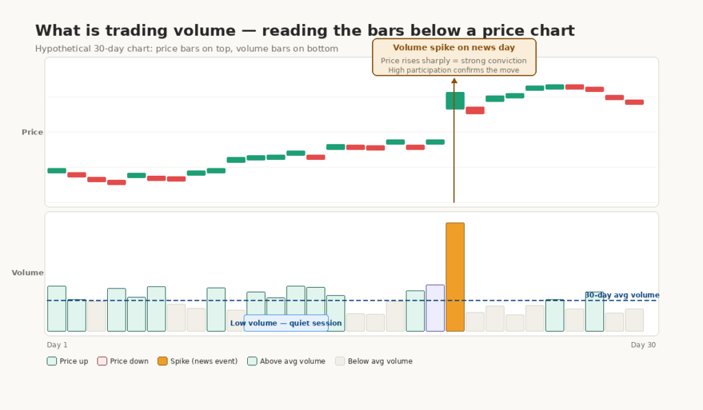 A stock chart diagram explains what is trading volume using price bars above and volume bars below showing high and low volume sessions.